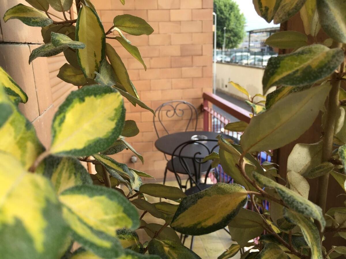 Double Room with Private Bathroom,1742947641:JPEG