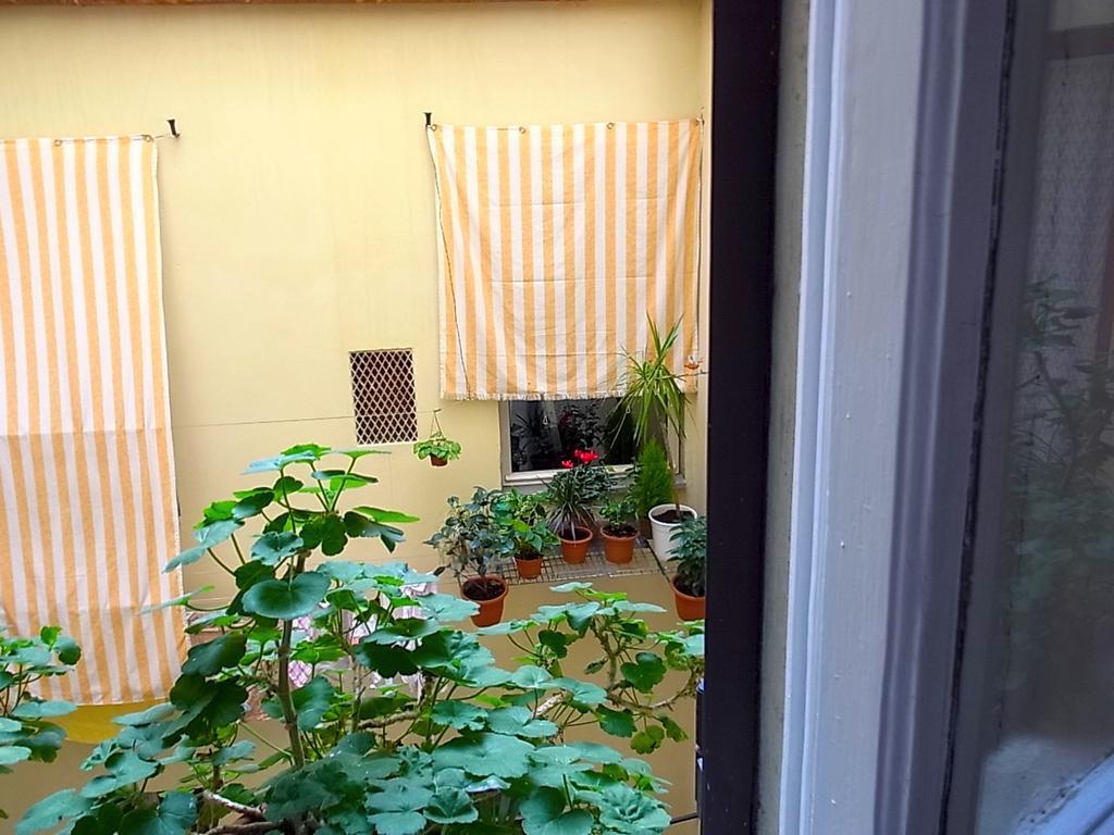 Standard Double Room with Shared Bathroom