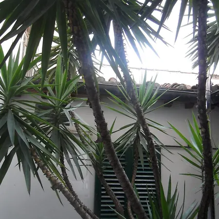 Hotel Collodi Firenze-3