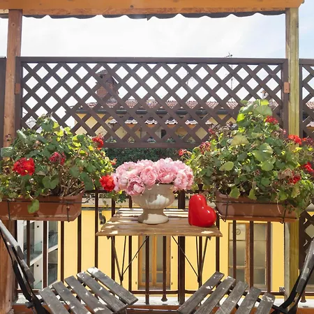 Hotel Joli-3