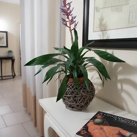Residenza Fiorentina-2