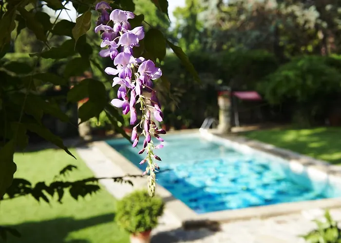 Park Palace Hotel Florence