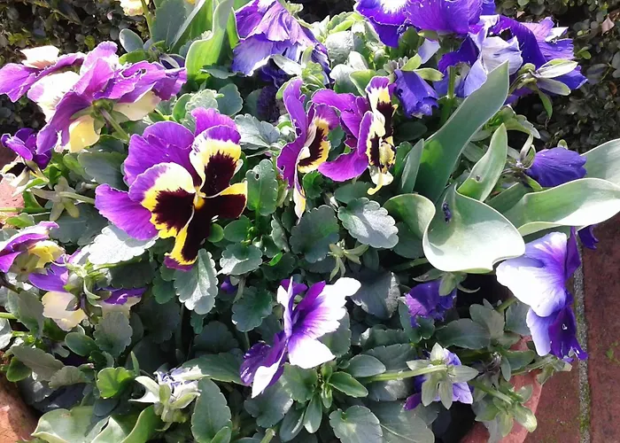 Casale Dei Cento Acri Bed & Breakfast Florence